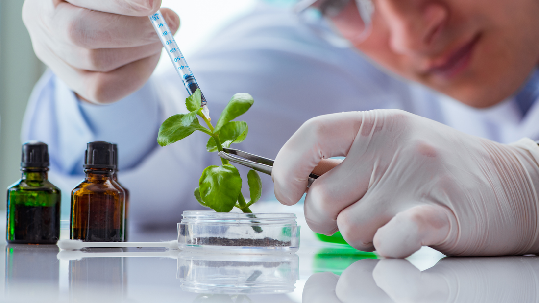 ¿Realidad o Marketing? La Ciencia detrás del Skincare Coreano bajo la lupa farmacéutica