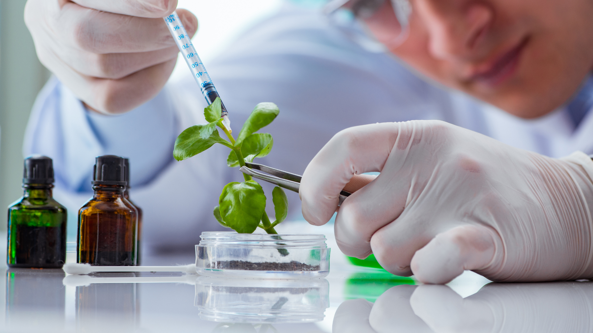¿Realidad o Marketing? La Ciencia detrás del Skincare Coreano bajo la lupa farmacéutica