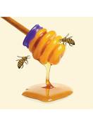 Frudia Blueberry Hydrating Honey Lip Balm - Bálsamo Labial Hidratante